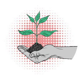 ekologiya_e338ef58